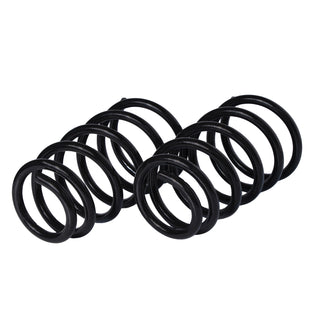Resortes Originales AG Confort Fiat Palio 2008-2021 Par Trasero