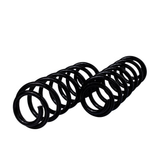 Resortes Originales AG Confort Seat Toledo IV (Reforzado) 2012-2019 Traseros