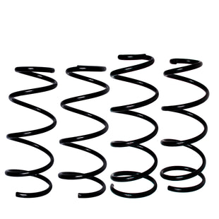 Resortes Originales AG Confort Dodge Neón 2000-2005 Kit 4 Piezas
