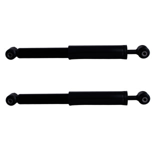 Amortiguadores AG Shock Peugeot 208 2014-2023 Traseros