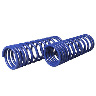 Resortes Deportivos AG Kit Ford Focus All 00-08 Par Trasero