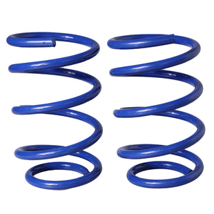 Resortes AG Kit Bmw Serie 3 (Menos 335D) 06-12 Par Delantero