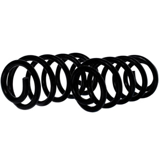 Resortes Ag Confort Audi A4 (B6) 2000-2004 Delanteros