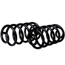 Resortes Ag Confort Audi A4 (B6) 2000-2004 Traseros-2