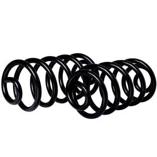 Resortes Ag Confort Audi A4 (B6) 2000-2004 Traseros