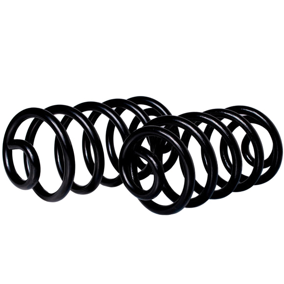 Resortes Ag Confort Audi A4 (B6) 2000-2004 Traseros