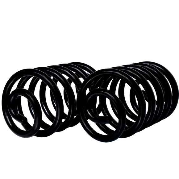 Resortes Originales AG Confort Bmw 325 (E36) Serie 3 95-01 Par Trasero