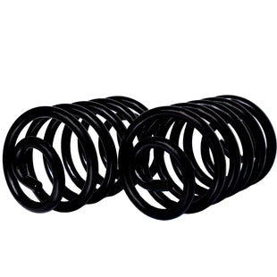 Resortes Originales Ag Confort Bmw 325 (E36) Serie 3 95-01 Par Trasero