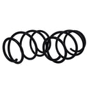 Resortes Originales AG Confort Bmw 325, 325i 99-05 Par Delantero-3