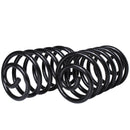 Resortes Originales AG Confort Chevrolet Zafira 2000-2006 Par Trasero-2