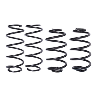 Resortes Originales AG Confort Chevrolet Astra 2007-2008 Kit 4 Piezas