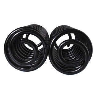 Resortes Originales Ag Confort Chevrolet TrailBlaizer 02-08 Par Trasero