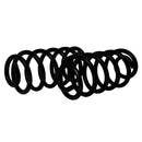 Resortes Originales AG Confort Chevrolet Trax 2012-2020 Par Trasero-2