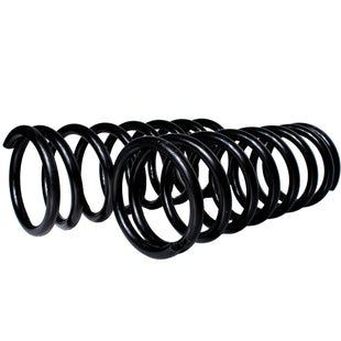 Resortes Originales AG Confort Dodge Ram 4000 Par Delantero