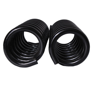 Resortes Originales Ag Confort Dodge Dakota 2000-2004 Par Delantero