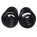 Resortes Originales AG Confort Jeep Wrangler 07-17 Par Trasero-2