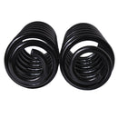 Resortes Originales AG Confort Jeep Wrangler 07-17 Par Trasero-3