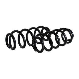 Resortes Originales AG Confort Dodge Journey 2021-2023 Traseros