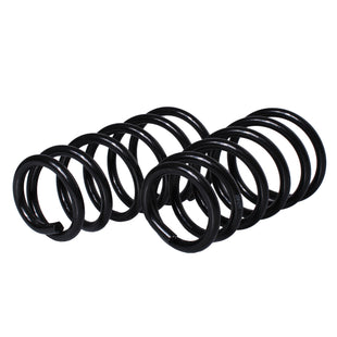 Resortes Originales AG Confort Fiat Palio 04-07 Par Trasero