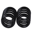 Resortes Originales AG Confort Fiat Palio 04-07 Par Trasero-5