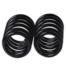 Resortes Originales AG Confort Fiat Palio 04-07 Par Trasero-4