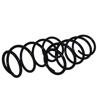 Resortes Originales AG Confort Fiat Palio Adventure 16V 04-07 Kit 4 Piezas