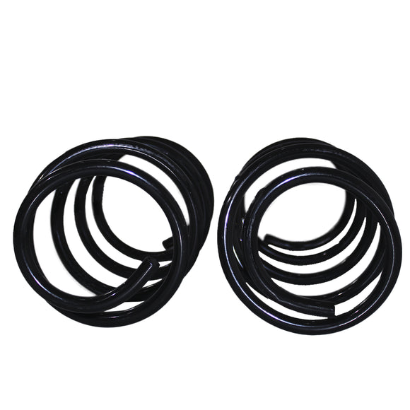 Resortes Originales AG Confort Fiat Palio Adventure 2004-2007 Par Delantero