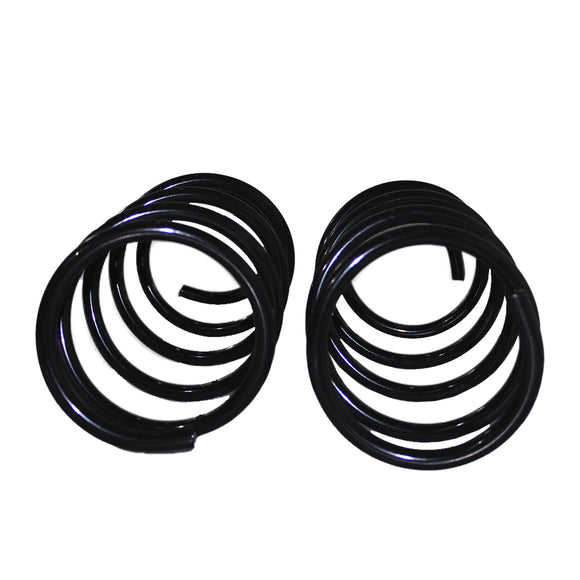 Resortes Originales AG Confort Fiat Palio Adventure 2004-2007 Par Delantero