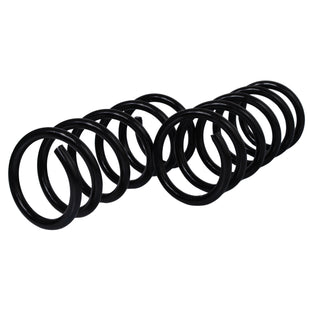 Resortes Originales AG Confort Fiat 500 (Mexicano) 09-15 Par Trasero