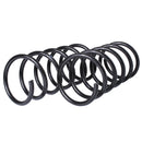 Resortes Originales Ag Confort Ford Fiesta (Hatchback) 1998-2003 Delantero y trasero-2