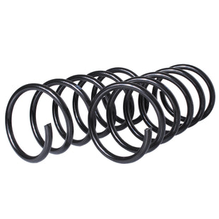 Resortes Originales Ag Confort Ford Fiesta (Hatchback) 1998-2003 Delantero y trasero