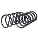 Resortes Originales AG Confort Ford Fiesta (Hatchback) 1998-2003 Delanteros-3