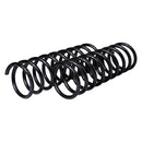 Resortes Originales AG Confort Ford Fiesta (Hatchback) 98-03 Par Trasero-3