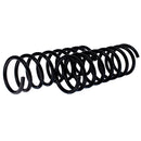 Resortes Ag Confort Ford Fiesta 16V Rally (Hatchback) 1998-2003 Trasero-3