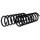 Resortes Ag Confort Ford Fiesta 16V Rally (Hatchback) 1998-2003 Trasero-2