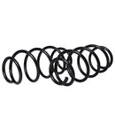 Resortes Originales AG Confort Ford Fiesta Brasil 03-08 Par Delantero-2