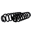 Resortes Originales AG Confort Ford EcoSport 2003-2012 Par Trasero-3
