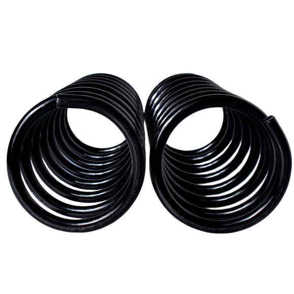 Resortes Originales AG Confort Ford Focus (Incluye ST) (Europa) 2012-2018 Par Trasero