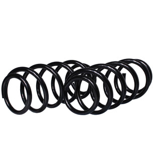 Resortes Originales AG Confort Pontiac Aztek 01-05 Par Delantero