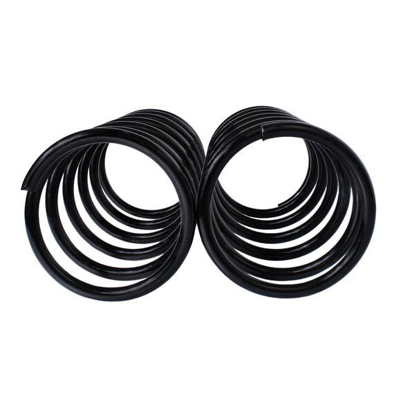 Resortes Originales AG Confort Nissan Tsubame (7 Vueltas) (Reforzado) 1992-2004 Delanteros