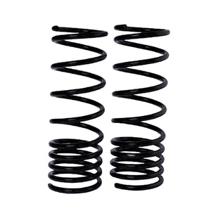 Resortes Originales AG Confort Nissan Tsuru 1 84-87 Par Delantero