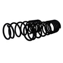 Resortes Originales AG Confort Nissan Tsuru 1 84-87 Par Delantero-2