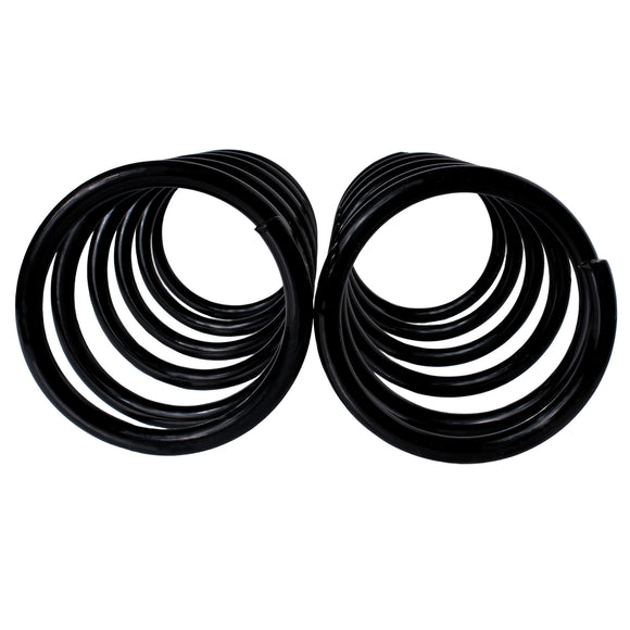 Resortes Originales AG Confort Nissan Sentra (B14) 1995-1999 Par Delantero