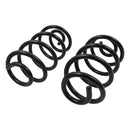 Resortes Originales AG Confort Nissan Tiida (Reforzado) 2006-2018 Traseros-2