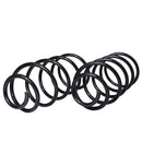 Resortes Originales AG Confort Peugeot 307 04-10 Par Delantero-3