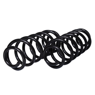 Resortes Originales AG Confort Peugeot 307 04-10 Par Trasero