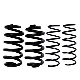 Resortes Originales AG Confort Renault Kangoo 2004-2019 Delanteros y Traseros