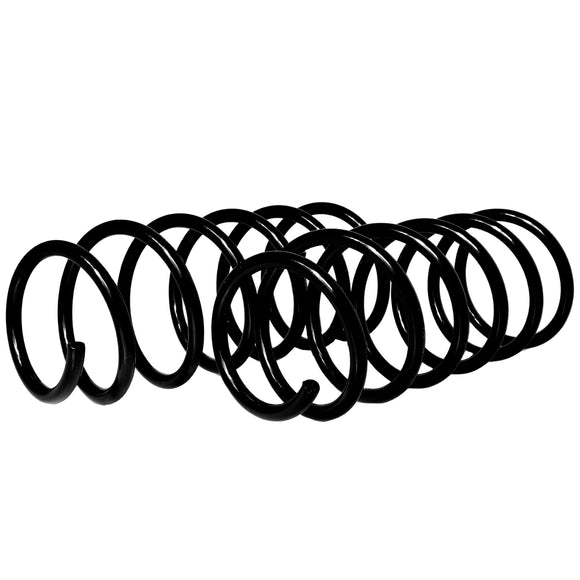 Resortes Originales AG Confort Renault Clio 02-10 Par Delantero