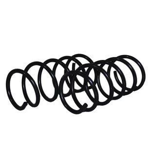 Resortes Originales AG Confort Renault Clio II Sport 2001-2006 Par Delantero