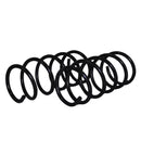 Resortes Originales AG Confort Renault Clio II Sport 01-06 Kit 4 Piezas-2